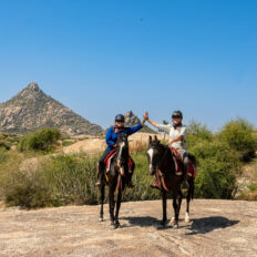 The Marwari Ride, India - Globetrotting horse riding holidays