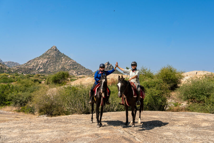 The Marwari Ride, India - Globetrotting horse riding holidays