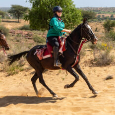 The Marwari Ride, India - Globetrotting horse riding holidays