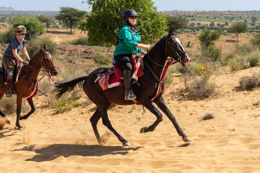 The Marwari Ride, India - Globetrotting horse riding holidays