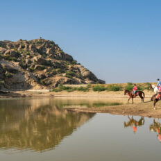 The Marwari Ride, India - Globetrotting horse riding holidays