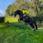Cross Country in Tipperary, Ireland - Globetrotting horse riding holidays