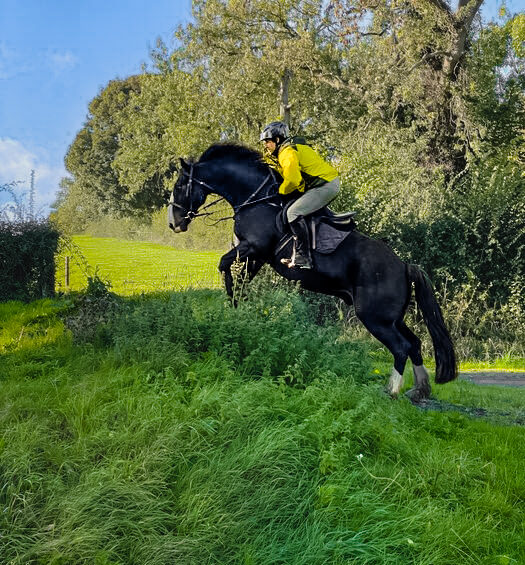 Cross Country in Tipperary, Ireland - Globetrotting horse riding holidays