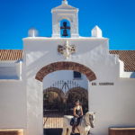 Dressage Ride in Spain - Globetrotting horse riding holidays