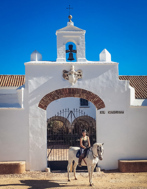 Dressage Ride in Spain - Globetrotting horse riding holidays