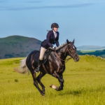 The Scottish Boarders Ride, Globetrotting horse riding holidays