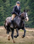 The Scottish Boarders Ride, Globetrotting horse riding holidays