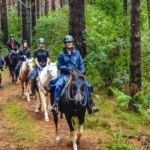 Twin Coast Adventure, New Zealand, Globetrotting horse riding holidays