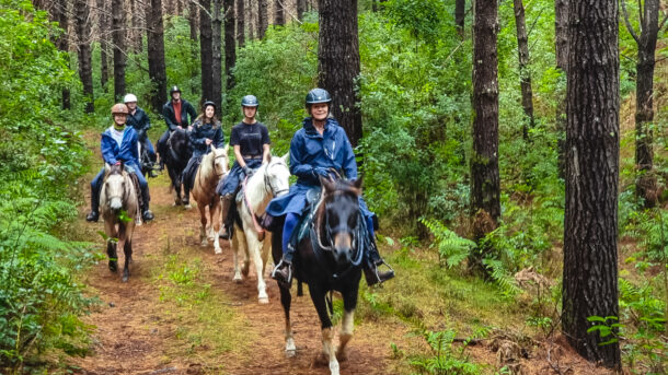 Twin Coast Adventure, New Zealand, Globetrotting horse riding holidays