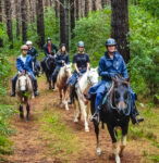 Twin Coast Adventure, New Zealand, Globetrotting horse riding holidays