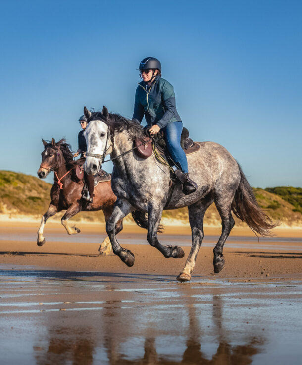 The Cradle to Coast ride, Tasmania, Australia, Globetrotting horse riding holidays