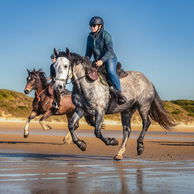 The Cradle to Coast ride, Tasmania, Australia, Globetrotting horse riding holidays