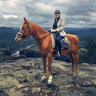 The Shoalhaven ride, New South Wales, Australia - Globetrotting horse riding holidays