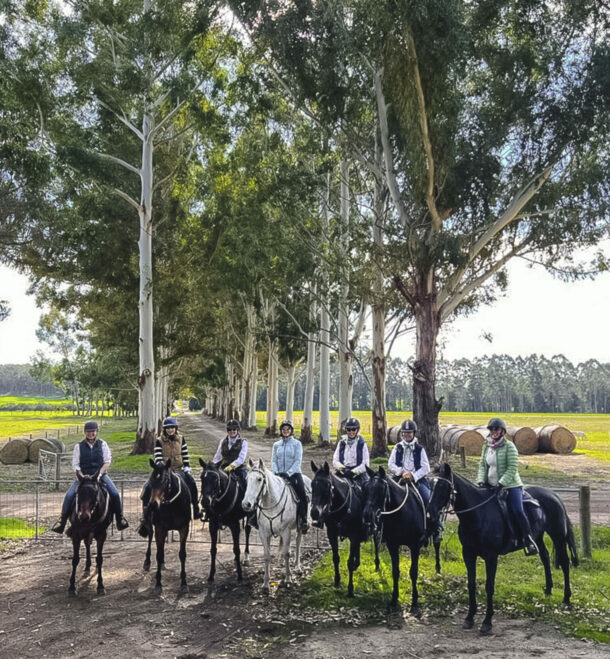 The Margaret River Ride, Western Australia - Globetrotting horse riding holidays