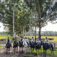 The Margaret River Ride, Western Australia - Globetrotting horse riding holidays
