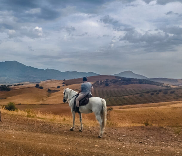 The Andalusia ride, Spain, Globetrotting horse riding holidays.