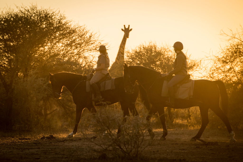 The Bushveld safari, South Africa - Globetrotting horse riding holidays