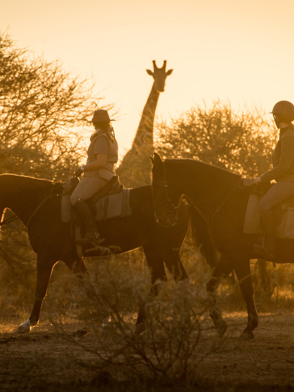 The Bushveld safari, South Africa - Globetrotting horse riding holidays