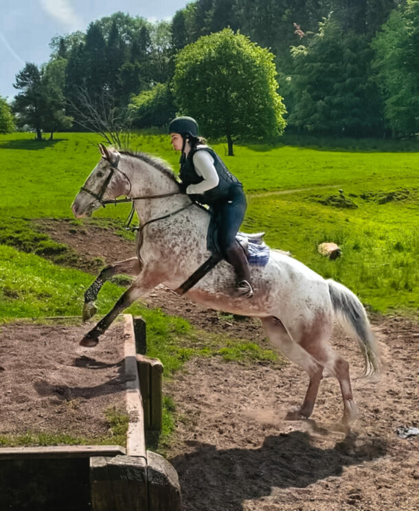 The Castle & Estate Ride, Ireland, Globetrotting horse riding holidays