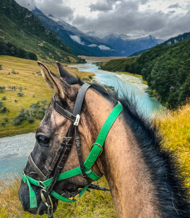 The Glenorchy Back Country Ride, New Zealand, Globetrotting horse riding holidays