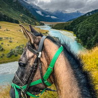The Glenorchy Back Country Ride, New Zealand, Globetrotting horse riding holidays