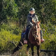 The Cradle to Coast Ride, Australia, Globetrotting horse riding holidays