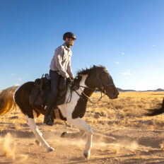 The Namib Desert Ride, Globetrotting horse riding holidays