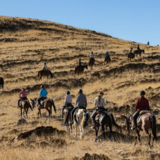 The Namib Desert Ride, Globetrotting horse riding holidays