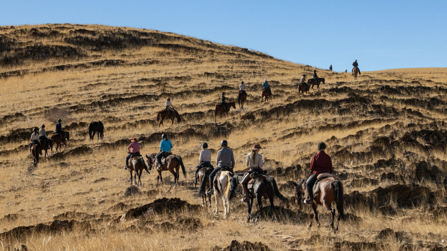 The Namib Desert Ride, Globetrotting horse riding holidays
