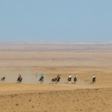 The Namib Desert Ride, Globetrotting horse riding holidays
