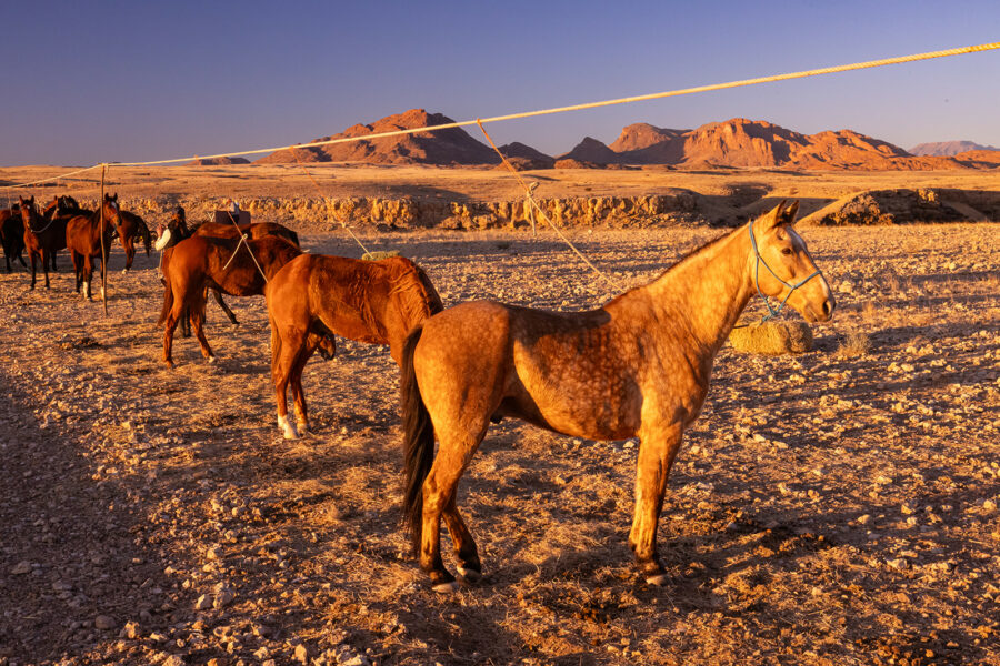The Namib Desert Ride, Globetrotting horse riding holidays