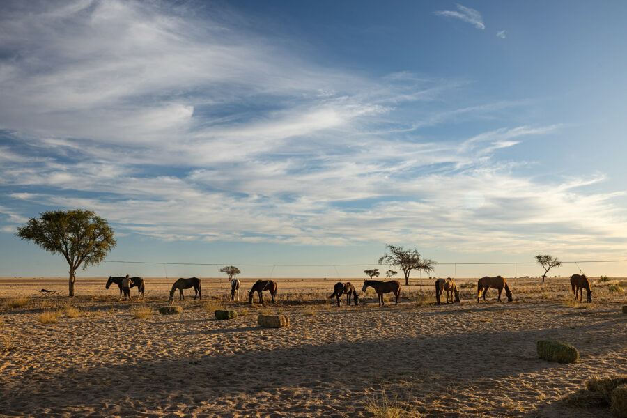 The Namib Desert Ride, Globetrotting horse riding holidays