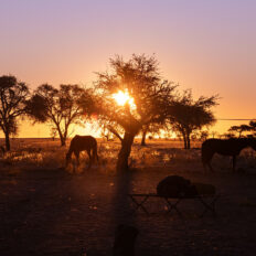 The Namib Desert Ride, Globetrotting horse riding holidays