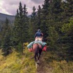 The Rocky Mountains ride, Canada, Globetrotting horse riding holidays