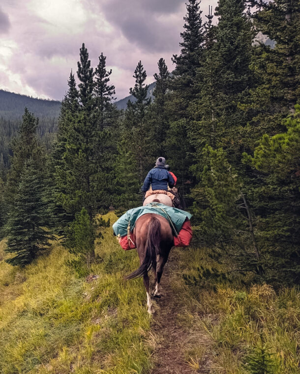 The Rocky Mountains ride, Canada, Globetrotting horse riding holidays