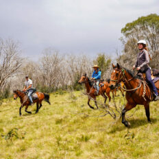 The Kosciuszko Ride, New South Wales, Australia - Globetrotting horse riding holidays