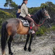 Cradle to Coast Ride, Tasmania, Globetrotting horse riding holidays