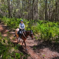 The Margaret River Ride, WA, Australia, Globetrotting horse riding holidays