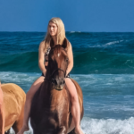 The Twin Coast Adventure, New Zealand, Globetrotting Horse Riding Holidays