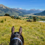 The Glenorchy Back Country Ride, New Zealand, Globetrotting horse riding holidays
