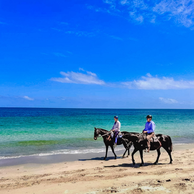 The Margaret River Ride, Western Australia, Globetrotting Horse Riding Holidays