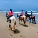 The Shoalhaven Ride, New South Wales, Australia, Globetrotting Horse Riding Holidays