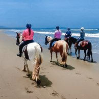 The Shoalhaven Ride, New South Wales, Australia, Globetrotting Horse Riding Holidays