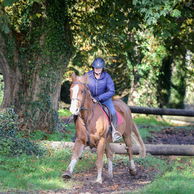 Cross Country, Tipperary, Ireland, Globetrotting Horse Riding Holidays.