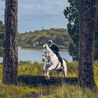 Castle & Estate Ride, Ireland, Globetrotting Horse Riding Holidays
