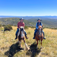 The Kosciuszko Ride, Australia, Globetrotting Horse Riding Holidays