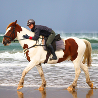 The Shoalhaven Ride, Australia, Globetrotting Horse Riding Holidays