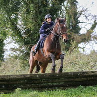 CROSS COUNTRY IN TIPPERARY, IRELAND, GLOBETROTTING HORSE RIDING HOLIDAYS