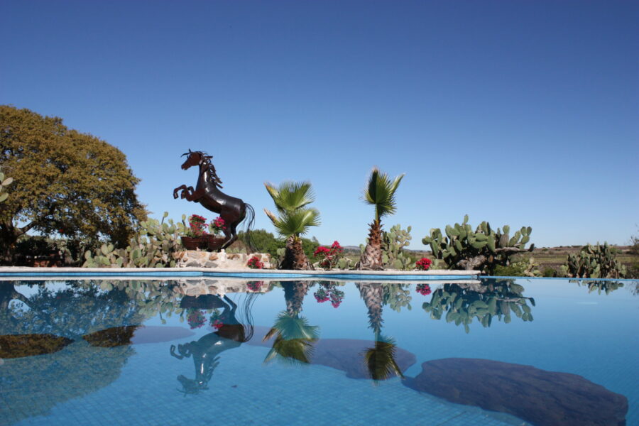El Rancho Ride, Mexico - Globetrotting horse riding holidays