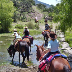 El Rancho Ride, Mexico - Globetrotting horse riding holidays